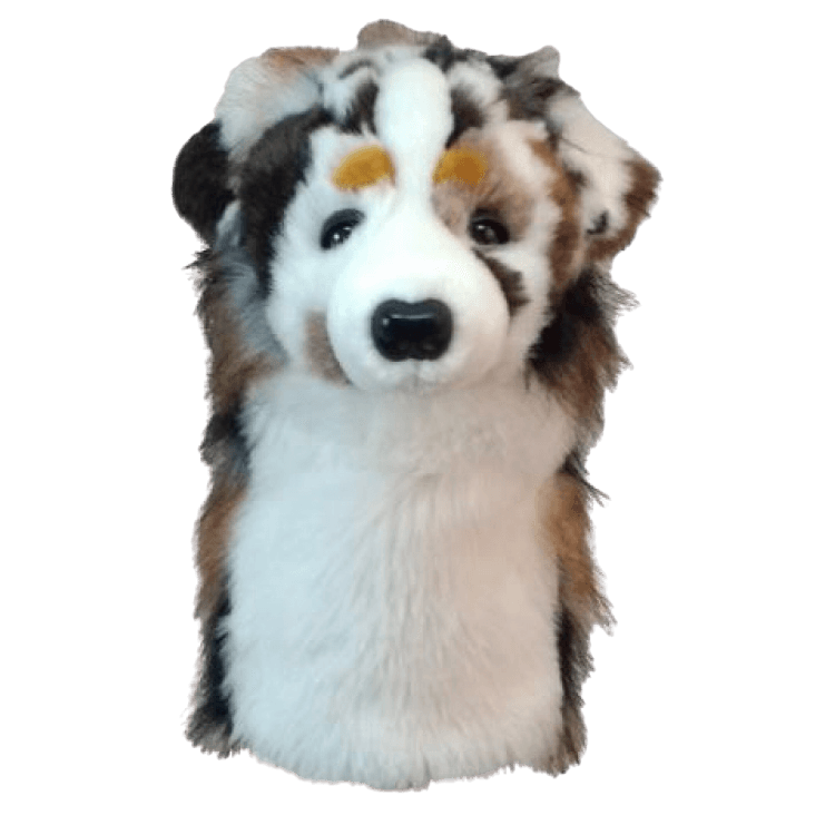 Daphne’s Headcovers Australian Shephard